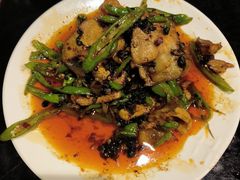 -陈麻婆豆腐总店
