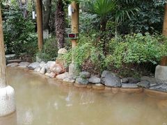 -张家港金凤凰度假村温泉
