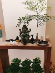 -阿南达·瑜伽普拉提·阿育吠陀疗愈中心