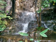 android_upload_pic-天目湖山水园