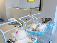 -怪兽屋·羊驼·猫咖·狗咖(俊华广场店)