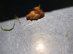 -探鱼·鲜青椒爽麻烤鱼(银泰城店)