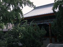 -有喜胶东小馆(太申祥和店)