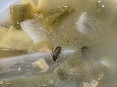 -安天民北方饺子(白石洲店)