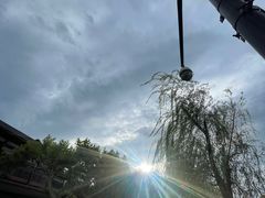 -文武王氏烧饼·无矾油条(西溪路店)