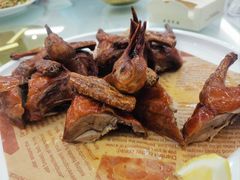 -泉龙渔村·粤式早茶·金牌烧鹅(中山三乡店)