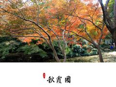 -秋霞圃