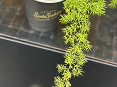 -SeekSeeking咖啡专门店(堰塘街店)