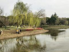 -堤角公园