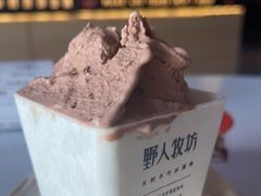 -野人牧坊Gelato(天津南开大悦城店)
