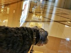 -汪说喵讲宠物乐园宠物酒店(红星美凯龙店)