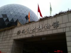 -陕西自然博物馆