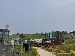 -空港花田景区