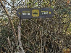 -午潮山国家森林公园