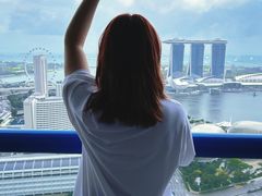 -新加坡瑞士史丹福酒店