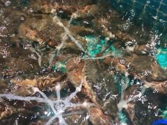 -三妹小龙虾·黄油蟹(华侨城总店)