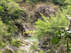 -广州白江湖森林公园