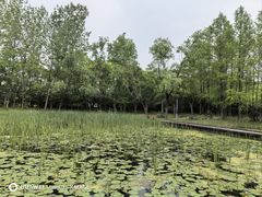 -长广溪湿地公园
