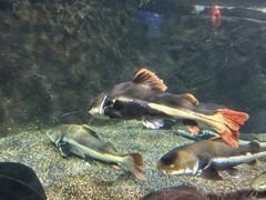 -太平洋海底世界