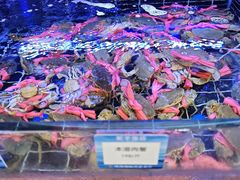-蛇平饭店(明园路店)