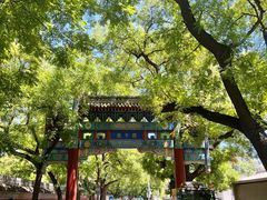 -北京国子监胡同