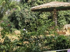 -海南热带野生动植物园