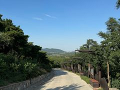 -北京西山国家森林公园