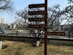 -桃花堤公园