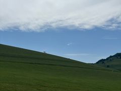 -关山草原