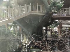 -南宫五洲植物乐园