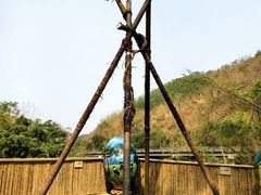 -西双版纳原始森林公园