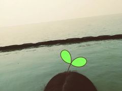 -合肥滨湖国家森林公园