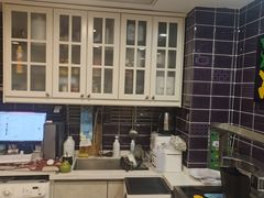 -猫十亿·布偶金渐层·曼基康矮脚猫舍(青年路店)