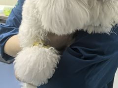 -联合动物医院(光谷诊疗中心)