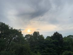 -火炉山森林公园