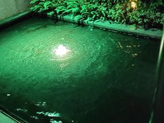 -CASA Grande酒漾·西餐及酒吧(长沙君悦酒店)
