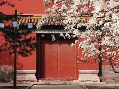 -北京市劳动人民文化宫