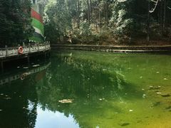 -四明山国家森林公园