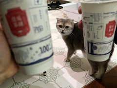 -隆延茶铺(学清路驹然店)