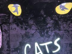 -交通银行前滩31演艺中心