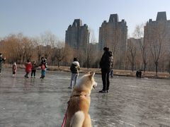 -东坝千亩湖公园