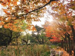 -八大关景区