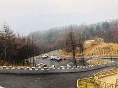 -洛阳白云山景区