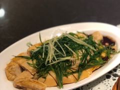 -熠盛粤味·顺德桑拿鸡(永康路店)