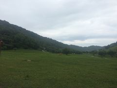 -大水川景区