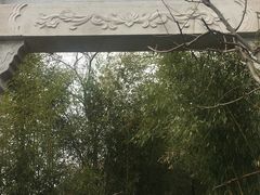 -竹子庵公园