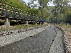 -白水寺森林公园