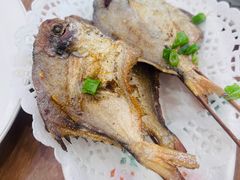 -洲晓鲜·舟山海鲜大排档(朱家尖风景区店)