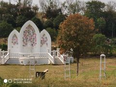 -武汉紫薇都市田园