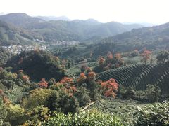 -浙江大学(玉泉校区)